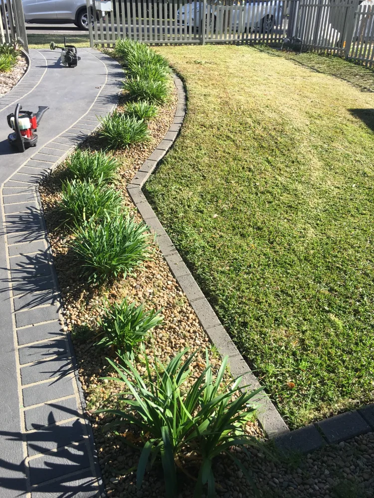 Crisp garden edging with mulched beds and curved lawn