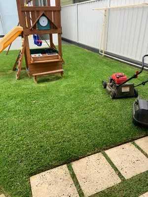 Freshly mowed backyard with mower and play area
