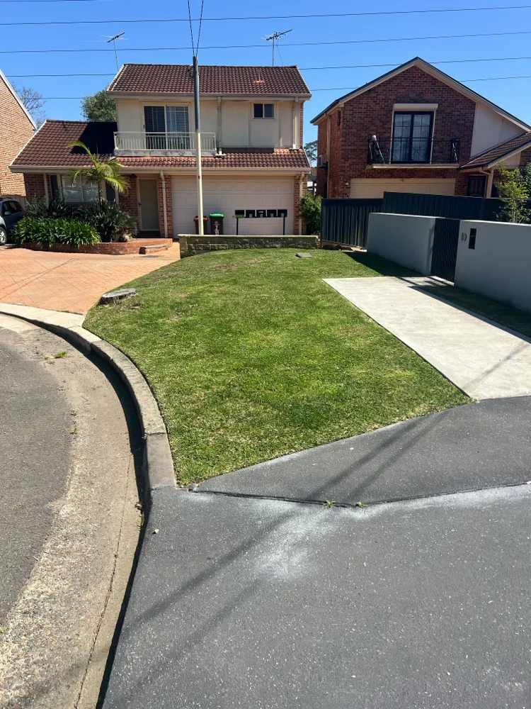 Tidy front lawn of a Sydney home