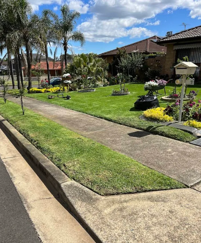 Landscaped front garden with palms, freshly mowed