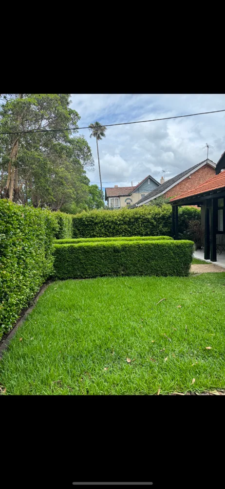 Beautifully maintained hedges and lawn